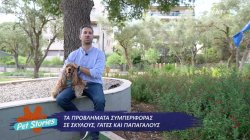 Τα προβλήματα συμπεριφοράς σε σκύλους, γάτες και παπαγάλους 