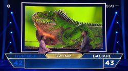 The Floor: Γιώργος Σ. και Βασίλης αναμετριούνται στις γνώσεις του πάνω στη... ζούγκλα!