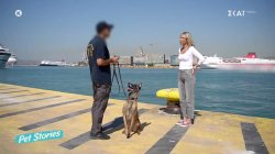 Τα καθήκοντα και τα χαρακτηριστικά που πρέπει να έχουν οι σκύλοι Κ9 του Λιμενικού – Η σχέση με τον χειριστή 