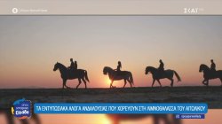 Τα εντυπωσιακά άλογα Ανδαλουσίας που χορεύουν στη Λιμνοθάλασσα του Αιτωλικού