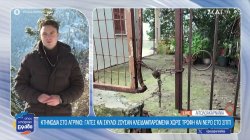 Κτηνωδία στο Αγρίνιο: Γάτες και σκύλοι ζούσαν κλειδαμπαρωμένα χωρίς τροφή και νερό στο σπίτι 