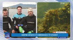 Κάνουμε κατάδυση στη λιμνοθάλασσα του Αιτωλικού