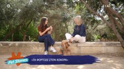 Από που προέρχεται η έκφραση «τα φόρτωσε στον κόκορα»