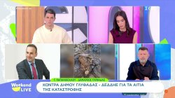 Κόντρα Δήμου Γλυφάδας - ΔΕΔΔΗΕ για τα αίτια της καταστροφής 