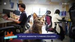 Pet News: Μαθαίνουμε τι συμβαίνει στον κόσμο