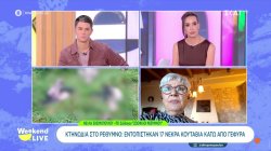 Κτηνωδία στο Ρέθυμνο: Εντοπίστηκαν 17 νεκρά κουτάβια κάτω από γέφυρα 