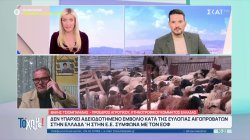 Β. Τσιομπανίδης-Προεδρ.Κτηνοτροφ.Κόμματος Ελλάδας : Οι κτηνοτρόφοι που θανατώθηκαν τα ζώα τους είναι πλέον άνεργοι