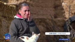 Ο κτηνοτροφικός κόσμος των Σερρών ξεσπά: «Μπροστά σας ένας κατεστραμμένος – Μας άφησαν έτσι» 