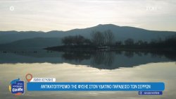 Λίμνη Κερκίνη: Αντικατοπτρισμοί της φύσης στον υδάτινο παράδεισο των Σερρών 