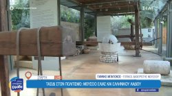 Ταξίδι στον πολιτισμό: Μουσείο ελιάς και ελληνικού λαδιού