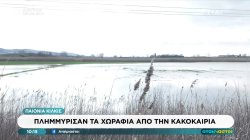 Παιονία Κιλκίς: Πλημμύρισαν τα χωράφια από την κακοκαιρία 