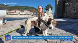 Από τον πυροβολισμό στη σωτηρία: Η δεύτερη ευκαιρία του Περσέα στη ζωή