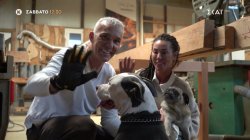 Pet Stories - Στέλιος Ρόκκος & Λελέ Γκόφα | Trailer | 03/01/2026