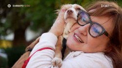 Pet Stories - Φωτεινή Ντεμίρη | Trailer | 10/01/2026