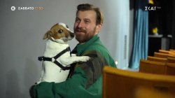 Pet Stories | Σόλων Τσούνης - Trailer | 31/01/2026