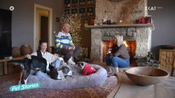 Η μεγάλη αγάπη του Στέλιου Ρόκκου και της Λελέ Γκόφα για τα ζώα – Η ζωή στη Λήμνο και η ξυλουργική 