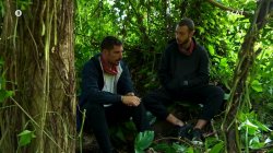 Αλέξανδρος: 