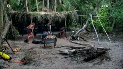 Ένας απρόσκλητος επισκέπτης με πάρα πολλά πόδια «τάραξε» τις Αθηναίες