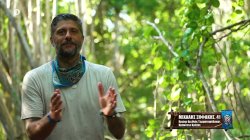 Σηφάκης: Μια όμορφη μέρα ξημερώνει στον Άγιο Δομίνικο χωρίς τον Gio 