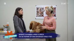 Αρκεί η όρεξη για να πούμε οτι ένα κατοικίδιο είναι υγιές; 