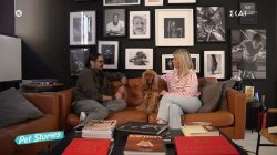 Ο φωτογράφος που μετατρέπει την αγάπη του για τα ζώα σε πορτρέτα με δυνατές ιστορίες