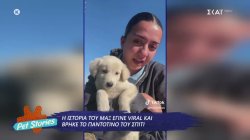 Η ιστορία του Max έγινε viral και βρήκε το παντοτινό του σπίτι 