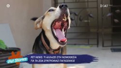 Pet News: Τι αλλάζει στη νομοθεσία για τα ζώα συντροφιάς παγκοσμίως 