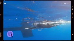 Πως γεννήθηκε η ιδέα της διαδρομής Ρόδο - Καστελόριζο 