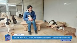Ναύπλιο: Ο άνθρωπος που μετά από μία άσχημη εμπειρία αποφάσισε να μετατρέψει το σπίτι του σε κέντρο φιλοξενίας σκυλιών 