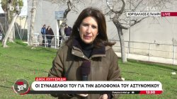 Συνεχίζεται η δίκη για τη δολοφονία του Γ. Λυγγερίδη - Τι καταθέτουν οι συνάδελφοί του