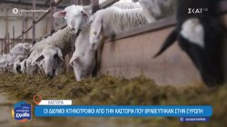 Οι δίδυμοι κτηνοτρόφοι από την Καστοριά που βραβεύτηκαν στην Ευρώπη