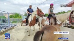 Ο αγρότης από τα Λευκάκια Αργολίδας που για λόγους διαμαρτυρίας ψηφίζει.. καβάλα σε άλογο και γαϊδούρι 