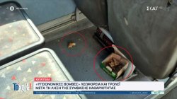 Καταγγελία: «Υγειονομικές βόμβες» λεωφορεία και τρόλεϊ μετά τη λήξη της σύμβασης καθαριότητας