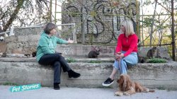 Nine Lives: Η ομάδα που στειρώνει και ταΐζει αδέσποτες γάτες