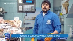 Οδηγίες για να ξεχωρίζουμε τα φρέσκα ψάρια και όστρακα