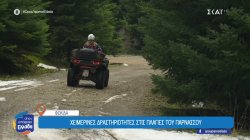 Παρνασσός: Τοπίο που κόβει την ανάσα και η αδρεναλίνη στα ύψη με βόλτες πάνω σε γουρούνες 