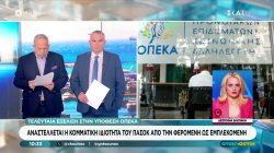 Εκτός ΠΑΣΟΚ η Αναστασία Χατζηδάκη για την υπόθεση του ΟΠΕΚΑ