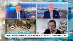  600 μεταλλικοί στύλοι μέσα στο δάσος των Σπετσών 