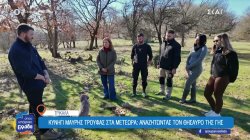 Κυνήγι μαύρης τρούφας στα Μετέωρα: Αναζητώντας τον θησαυρό της γης