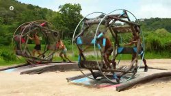 H «μάχη των χάμστερ» για το μεγάλο έπαθλο ξεκινά! Αλέξανδρος, Δημήτρης VS Μιχάλης, Μάνος