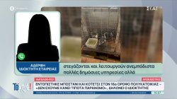 Τι απαντά η αδελφή του ατόμου που είχε μαντρί με κατσίκες και κότες σε ταράτσα πολυκατοικίας 