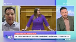 Άδωνις Γεωργιάδης: Η Ζωή Κωνσταντοπούλου είναι ένα κινητό φαινόμενο χυδαιότητας
