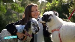 Η μεγάλη αγάπη της Εριέττας Κούρκουλου Λάτση για τα ζώα 