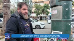 Αλεξανδρούπολη: Τραγικός θάνατος σε ρομποτικό κάδο ανακύκλωσης