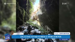 Σοκ στο Πήλιο: Κουτάβια πεταμένα σε γκρεμό 20 μέτρων, ανάμεσα σε σκουπίδια 