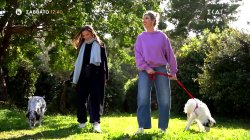 Pet Stories | Εριέττα Κούρκουλου Λάτση - Trailer | 28/03/2026