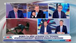 Α. Πορτοσάλτε, Χ. Ιωάννου & Τ. Γαϊτάνης για τους βενζινοπώλες που αποφασίζουν για κινητοποιήσεις 