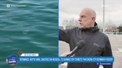 Φερτά υλικά και σκουπίδια – Το σκηνικό που αδικεί την εικόνα του Θερμαϊκού Κόλπου και της Θεσσαλονίκης