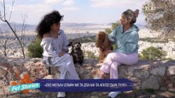 Μαρία Σολωμού: Μοιάζουμε με τη Μαύρα - Δεν αντέχω ό,τι έχει να κάνει με την κακοποίηση των ζώων 