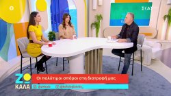 Οι πολύτιμοι σπόροι στη διατροφή μας, τα σημαντικά οφέλη και γιατί να μην τους υπερκαταναλώνουμε 